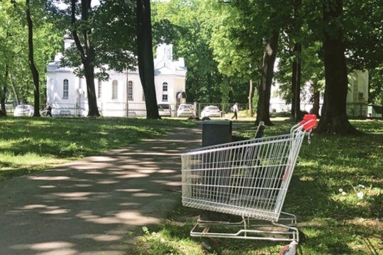 Užfiksavo keistą vaizdelį: prekybos centro vežimėlis „pasiklydo“ parke