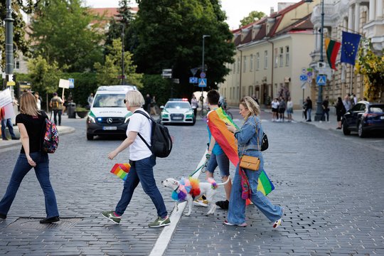 Eitynių „Už lygybę!“ akimirkos.<br>V. Skaraičio nuotr.