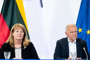 V. Blinkevičiūtė priėmė sprendimą dėl Seimo rinkimų, įvertino pralaimėjimą prieš konservatorius