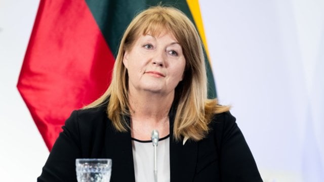 V. Blinkevičiūtė priėmė sprendimą dėl partijos vedimo į Seimą
