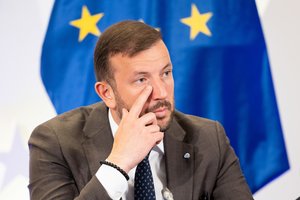 Demokratų sąjunga „Vardan Lietuvos“ dėl mažo aktyvumo EP rinkimuose kaltina konservatorius