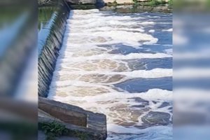 Suputojęs Nevėžis gyventojams sukėlė klausimų: specialistai atsakė, ar yra dėl ko nerimauti