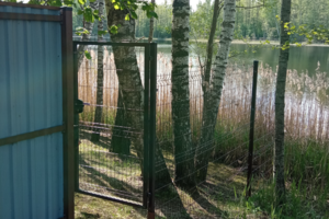 Patikrino 32 sklypus aplink ežerą ir nustatė eilę pažeidimų: įspėja kitus – tai daryti draudžiama