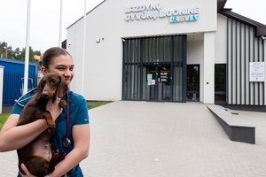 „Vienintelis prašymas, kurį turi sergančių gyvūnų šeimininkai“: šunytės Belos gyvybę išgelbėjo kitas keturkojis herojus