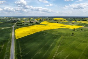 Kada privati žemė gali būti paimta visuomenės poreikiams – svarbiausia, ką reikia žinoti jos savininkui