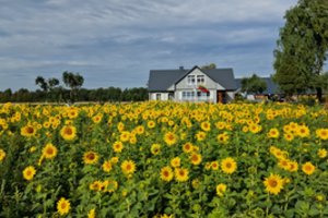 Ką veikti su vaikais Radviliškio krašte: pramogos nepaliks abejingų