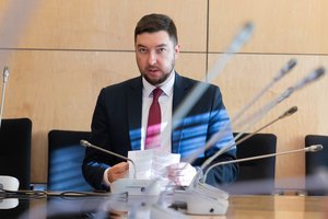 V. Mitalas: valdančioji koalicija neišvengiamai turės aptarti situaciją dėl M. Navickienės