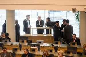 Konservatorius kelia versiją, kodėl skandalas dėl M. Navickienės kilo dabar: įvardijo, kam naudinga