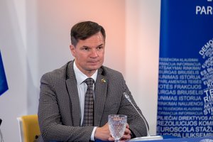 P. Saudargo tikslai tapus Europos Parlamento nariu: didžiausią dėmesį skirs Ukrainai ir gynybos pramonei