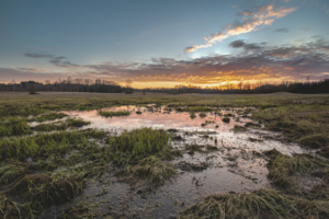 Ūkininkai kviečiami dalyvauti naujoje priemonėje ŠESD emisijoms mažinti
