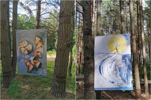 Meniški pasivaikščiojimai Ignalinoje