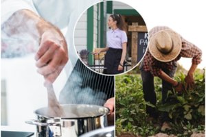 Čia vasarą darbą gauti lengviausia: darbuotojų poreikis milžiniškas, o viena profesija – jau deficitinė