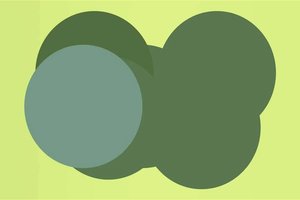 Kiek skritulių pavaizduota? Dauguma atsako neteisingai