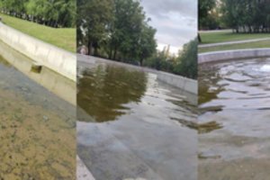 Kaunietė nusistebėjo fontano būkle: beliko atvežti kibirą varlių