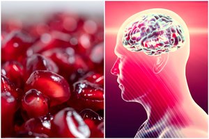 Tyrimas parodė, kuris vaisius gerina atmintį ir saugo nuo Alzheimerio ligos