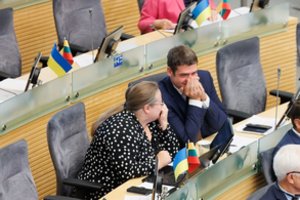 A. Širinskienė giriasi, kad ją vilioti bandė bene visa opozicija, atsakė nuoskaudas dar jaučiantiems kolegoms