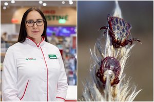 Erkės įkandimas perneša pavojingas ligas – daugelį suklaidina gajus mitas