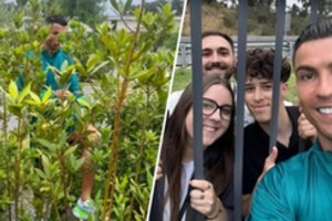 Neįtikėtina istorija: Cristano Ronaldo pats lipo per krūmus gerbėjams pasirašyti autografus