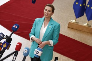 Įtariamas Danijos premjerės užpuolikas liks suimtas iki liepos 4 d.