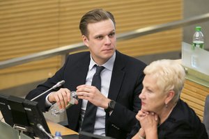 I. Degutienė pasigenda G. Landsbergio lyderystės: kritikuojame V. Blinkevičiūtę, bet kur mūsų pirmininkas