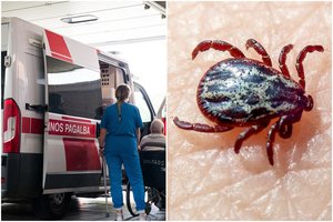 Erkių sezono pradžią Lietuvoje paženklino 3 laidotuvės: gydytoja išvardijo dėl kokių simptomų guldo į ligoninę