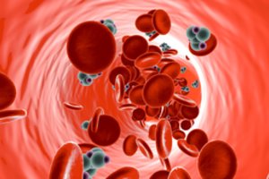 Profesorius pasakė, ką valgo kasdien: gardu ir sumažėja cukraus kiekis kraujyje