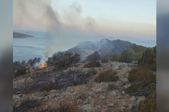 Suvaldytas dėl fejerverkų Graikijos saloje kilęs gaisras: kaltinimai pareikšti pramogautojams jachtoje