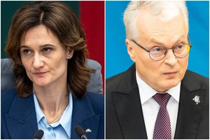 V. Čmilytė-Nielsen prezidento metiniame pranešime pasigedo dėmesio žmogaus teisių klausimams