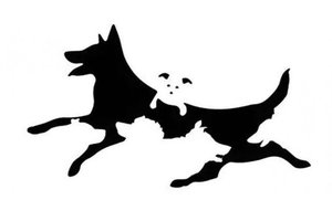 Kiek čia šunų? Atsakę sužinosite savo psichologinį amžių