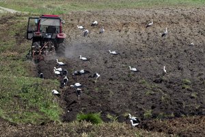 Nusausinti durpžemiai keičia klimatą – numatė priemones, kaip juos vėl padaryti naudingus gamtai