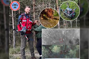Smiltynės miške pasimetusio murklio gelbėjimo operacija – su dronais ir šilumos jutikliais