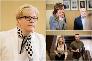 G. Landsbergio kandidatūrą aptarinėjo be paties G. Landsbergio: ką iš I. Šimonytės išgirdo koalicijos partneriai?