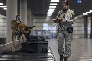 Kariuomenės kinologai išvyksta tarnybinių užduočių vykdymui į Paryžiaus olimpines žaidynes