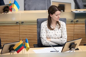 Seimas nepritarė siūlymui steigti laikinąją tyrimo komisiją dėl M. Navickienės ryšių su V. Germanu