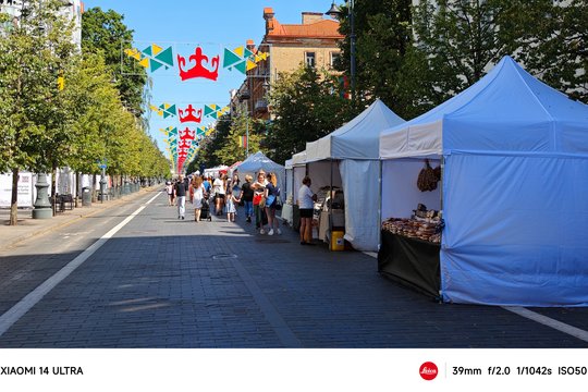  Braškių festivalis.<br> T. Bauro nuotr.