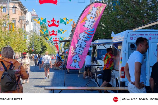  Braškių festivalis.<br> T. Bauro nuotr.