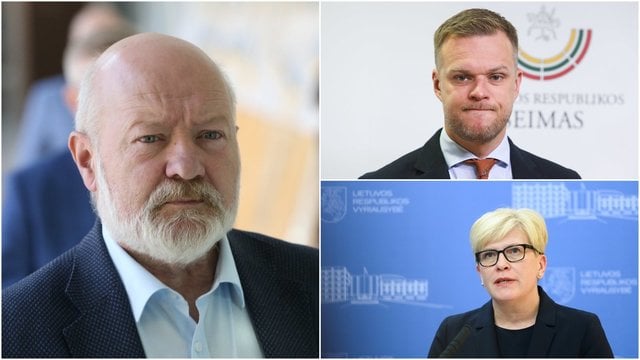 Įtikinti kolegas balsuoti už G. Landsbergį į eurokomisarus būtų sudėtinga: su liberalais buvo žaidžiama kaip katė su pele