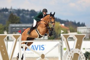 Gera žinia: Paryžiaus olimpiadoje – dar vienas Lietuvos raitelis: „Svajonės virsta realybe“