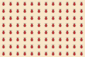 Raskite per 15 sekundžių: kuris vabalas skiriasi nuo kitų?