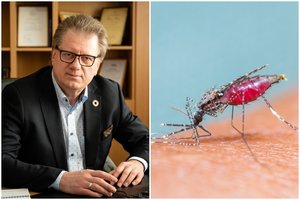 Uodai, sparvos ir mašalai: S. Čaplinskas įvardijo, kuris vabzdys į žmogaus kraują suleidžia daugiausia nuodų