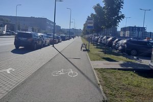 Kaune pavojingai įrengti viešojo transporto sustojimai pykdo dviratininkus