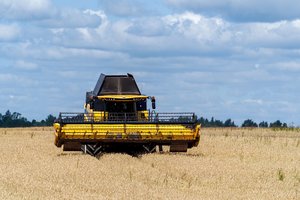 Prasidedant javapjūtei, ūkininkus ragina suklusti: atlikę šiuos veiksmus, išvengsite rimtų pasekmių