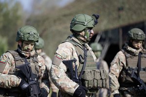 Bundestago Biudžeto ir Gynybos komitetai pritarė 105 tankų „Leopard“, kurie bus skirti ir brigadai Lietuvoje, įsigijimui