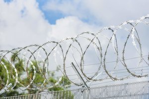 Latvija fiksuoja išaugusį migrantų skaičių Baltarusijos pasienyje