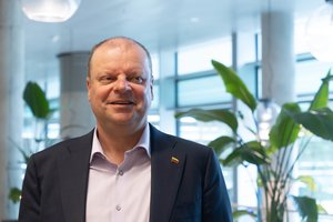 Demokratus į Seimą ves S. Skvernelis, tarp kandidatų – ir N. Jagelavičienė bei B. Želvys