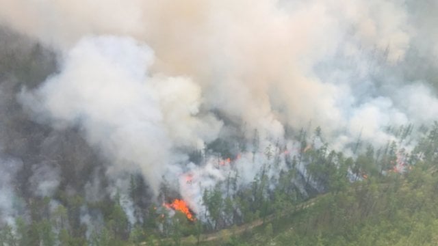 Rusiją ir toliau siaubia didžiuliai gaisrai: liepsnos apėmė daugiau nei 300 tūkst. hektarų plotą