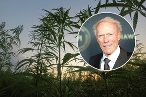 Holivudo žvaigždė C. Eastwoodas kaip reikiant įsikibo į melagienas apie jį paskleidusį lietuvį