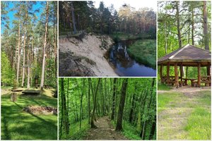 Savaitgalis Dzūkijoje: ką aplankyti miškingiausiame šalies krašte? 