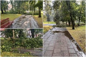 Nuo karščio atvėsino smarki liūtis ir vėjas: vietomis trumpa audra išvartė bei aplaužė medžius