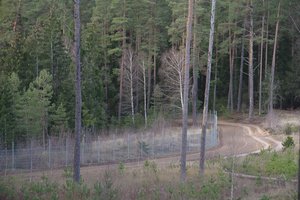 Pastarąją parą pasienyje su Baltarusija neteisėtų migrantų nefiksuota